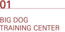 01_Big Dog Traning Center