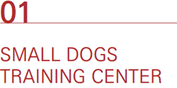 01_SAMLL DOGS TRANING CENTER